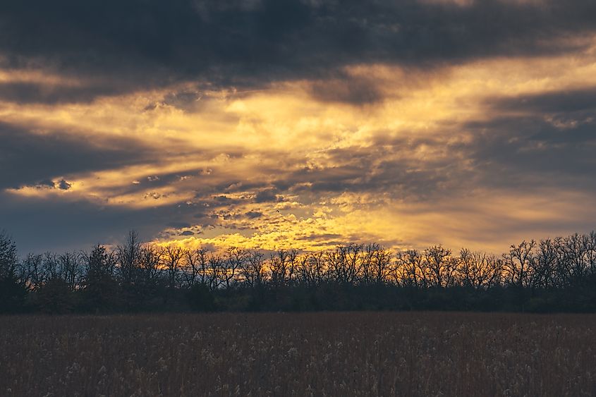 Great Plains Nature Center near Bel Aire in Kansas.