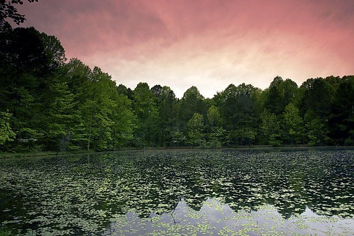 A pond in the Charles C. Deam Wilderness Area