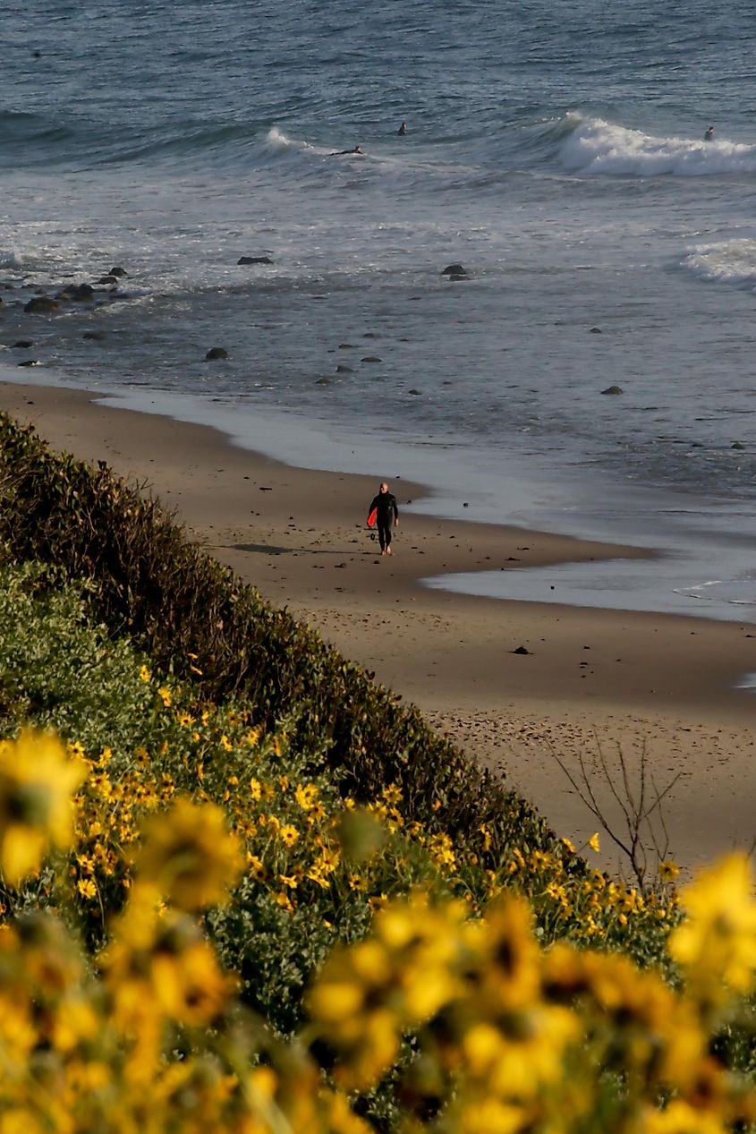 Rincon Beach in Carpinteria, California at Dusk.