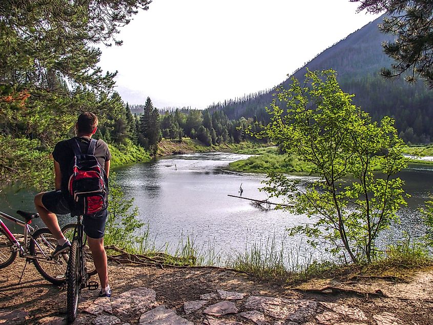 Cyclists enjoying the scenic landscape near Whitefish.