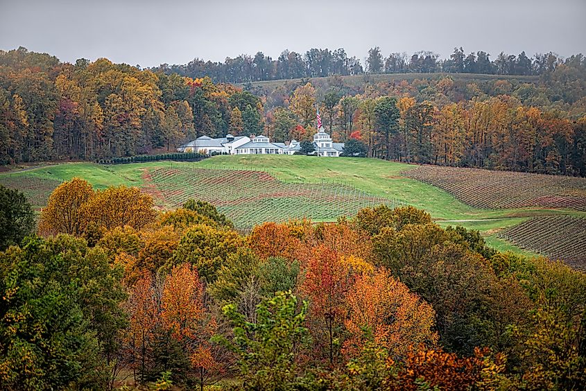 The Albemarle Estate at Trump Winery in Charlottesville, Virginia