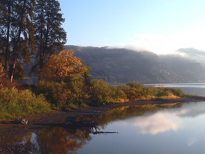 Scenic view of Mayer State Park in Oregon