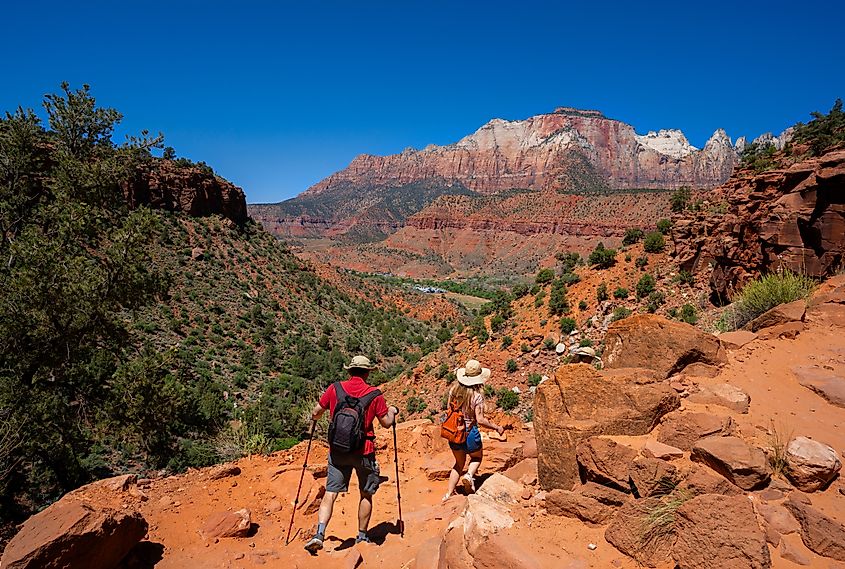 Zion National Park near Springdale, Utah.