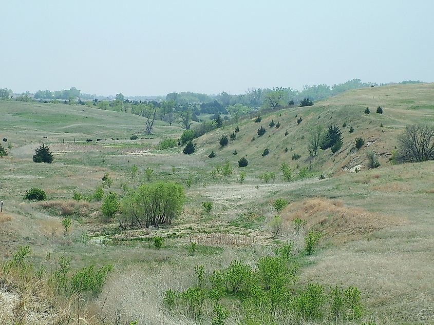 Hills surrounding the fossil beds