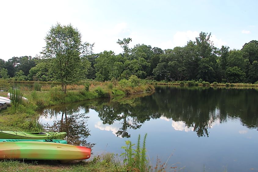 Pine Lake, Georgia. 