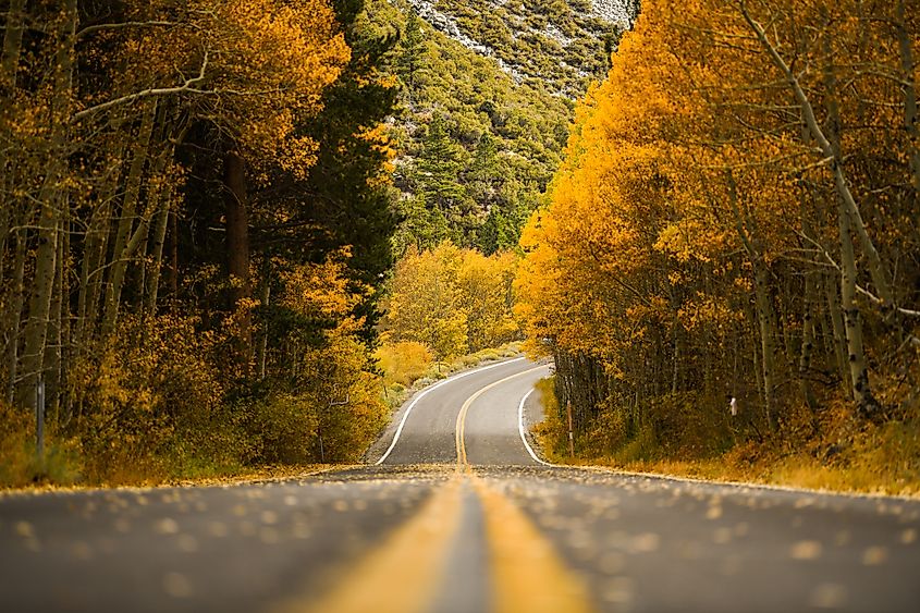 A fall road at June Lake, California