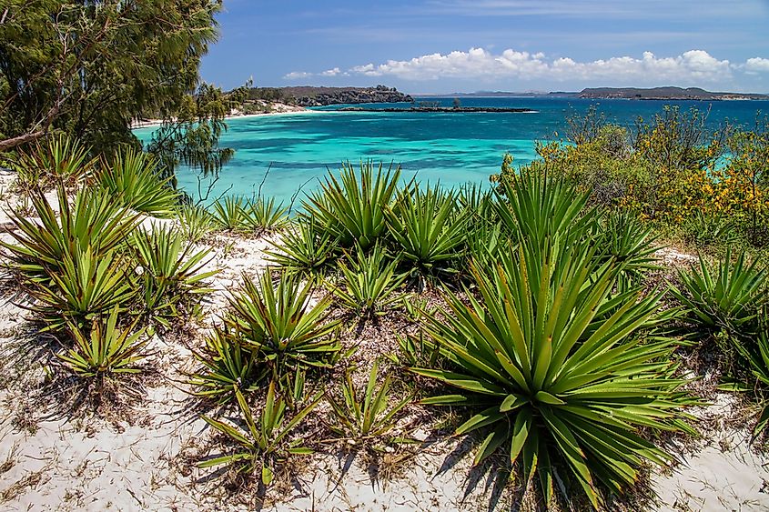 The landscape near Diego Suarez, Madagascar. Image Credit Pav-Pro Photography Ltd via Shutterstock.