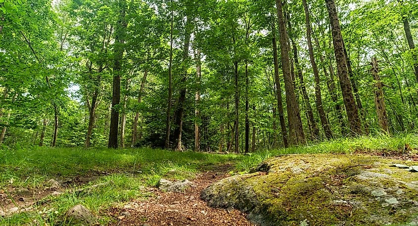 Wawayanda State Park in New Jersey.