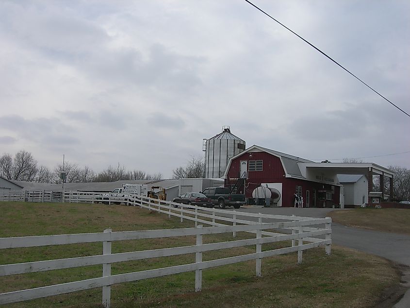 Farm in Alexandria, Alabama.