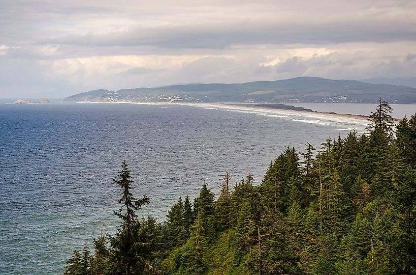 Cape Lookout State Park in Oregon with vibrant autumn foliage surrounding the coastal landscape