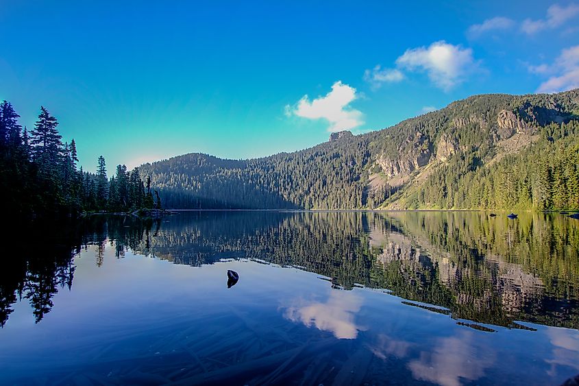 A view from the shores of Mowich Lake. Its clear, blue waters allow you to see much of the deadfall resting at its bottom. 