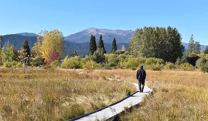 Sisson Meadows in Mount Shasta, California.