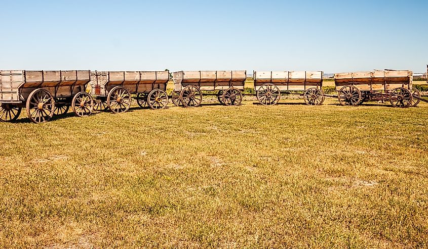 Restored, vintage grain wagons pulled into a circle to resemble covered wagons circled at night or when they feared attack at the Big Horn County Historical Museum in Hardin, Montana.