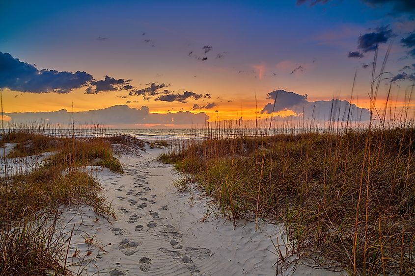 Sand dunes with footpath at sunrise, Hunting Island State Park South Carolina.