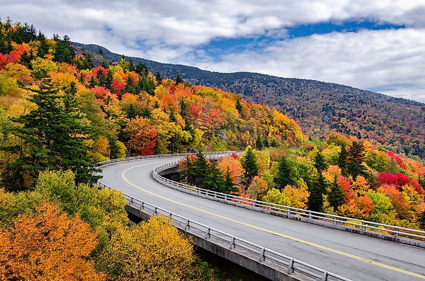 Autumn foliage along the Blue Ridge Parkway in North Carolina.