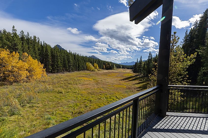 The viewing deck at the back of the Peter Lougheed Discovery Centre overlooking the meadow.