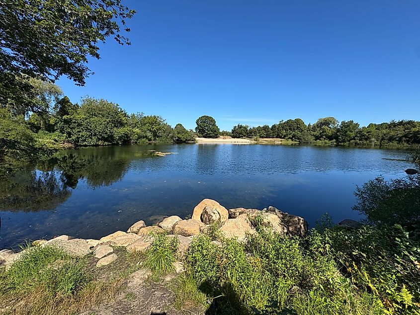 Ninigret Park pond with calm water bordered by marsh grasses and scattered trees in Charleston, Rhode Island