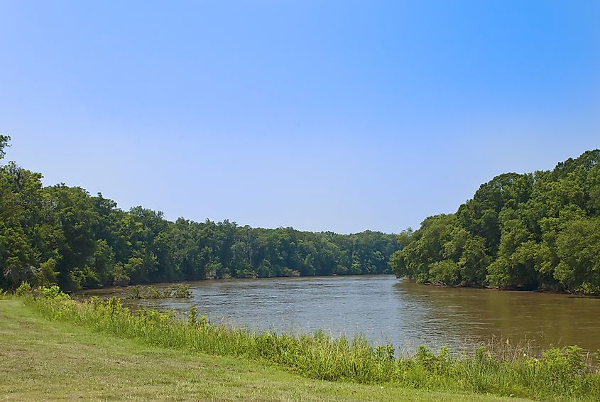 View of the Savannah River in South Carolina.