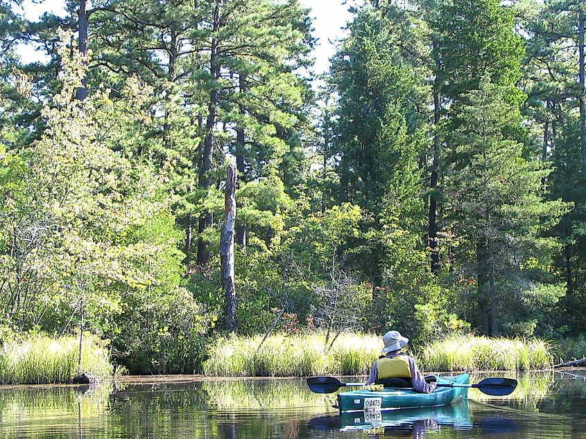 A person in a kayak is paddling on a calm lake surrounded by lush, green forest. The scene is peaceful, with sunlight filtering through tall trees.