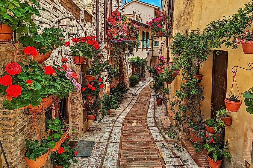 A beautiful alley in Spello, Italy.