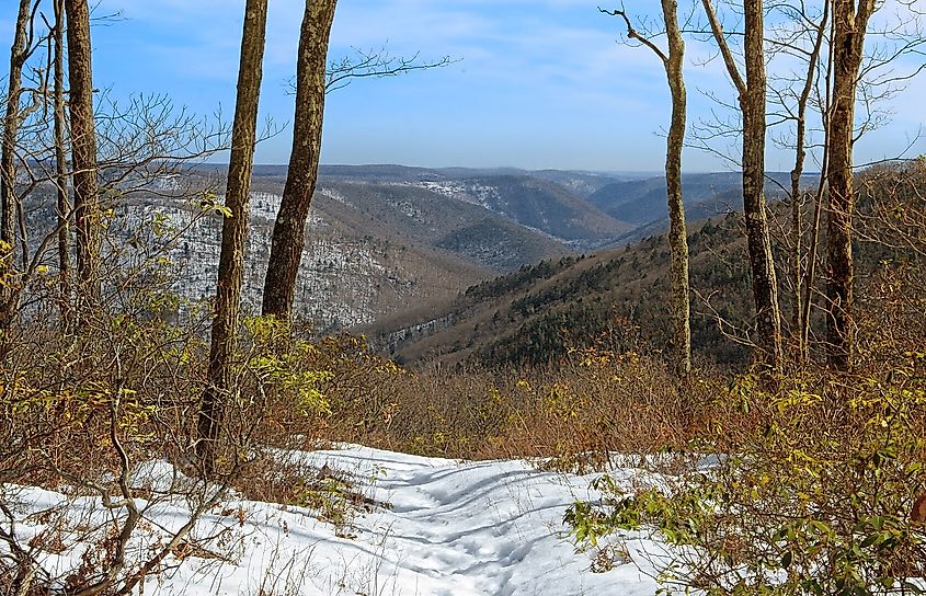 View of Pine Creek Gorge.