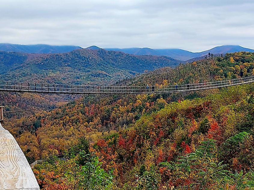 Fall foliage from Skybridge Park in Gatlinburg, Tennessee.