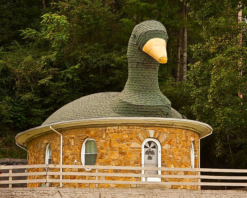 Hazard, Kentucky. In Wikipedia. https://en.wikipedia.org/wiki/Hazard,_Kentucky By RobtKH - Own work, Public Domain, https://commons.wikimedia.org/w/index.php?curid=11369354