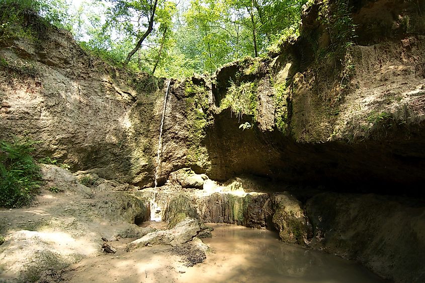 Clark Creek Natural Area