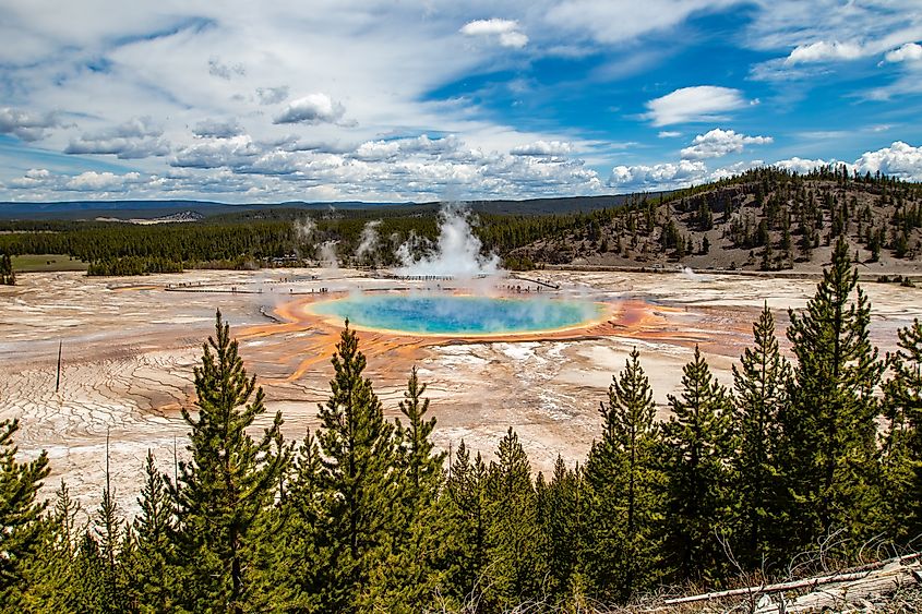 Grand Prismatic Spring in Yellowstone National Park.