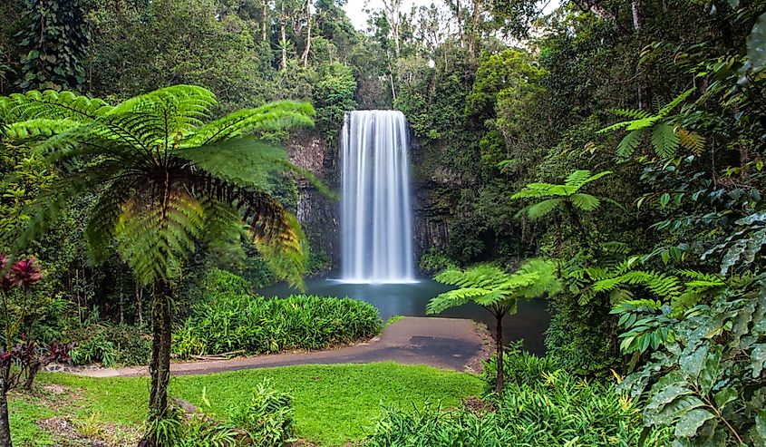 Millaa Millaa Falls in the Atherton Tablelands in North Queensland, Australia