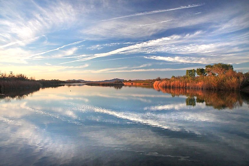 Cibola National Wildlife Refuge