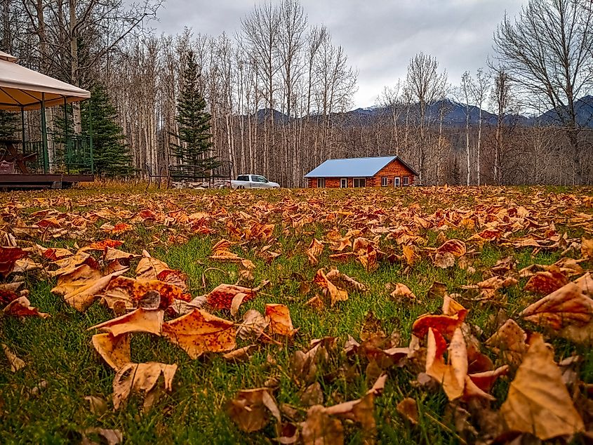 Cabin in Palmer, Alaska, surrounded by fall foliage