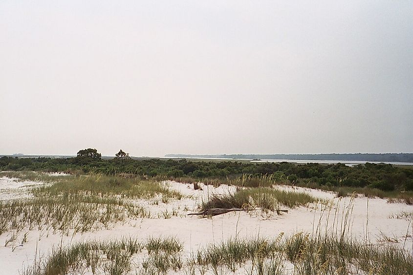 Dunes on Cat Island, Mississippi. 