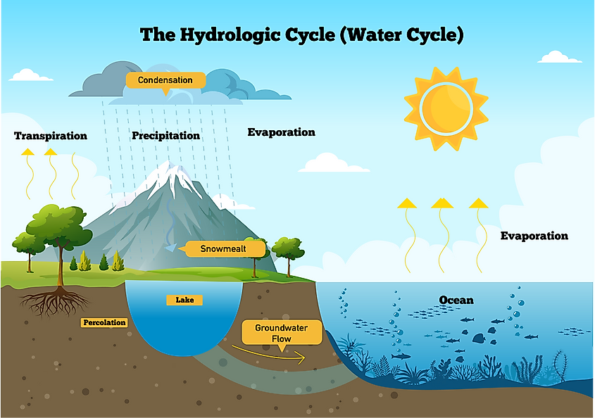 Water Cycle Precipitation