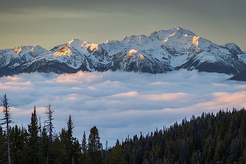 The Canadian Rockies block moisture from reaching the interior of the country.