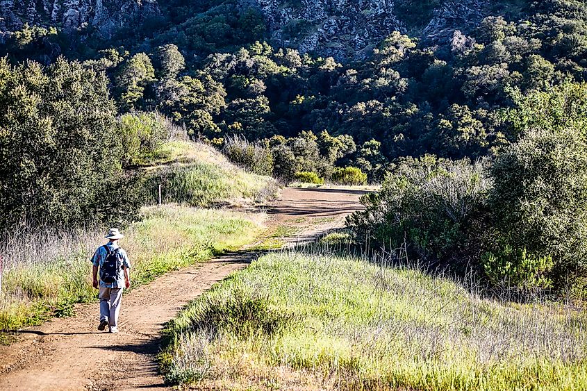 Malibu Creek State Park, California.