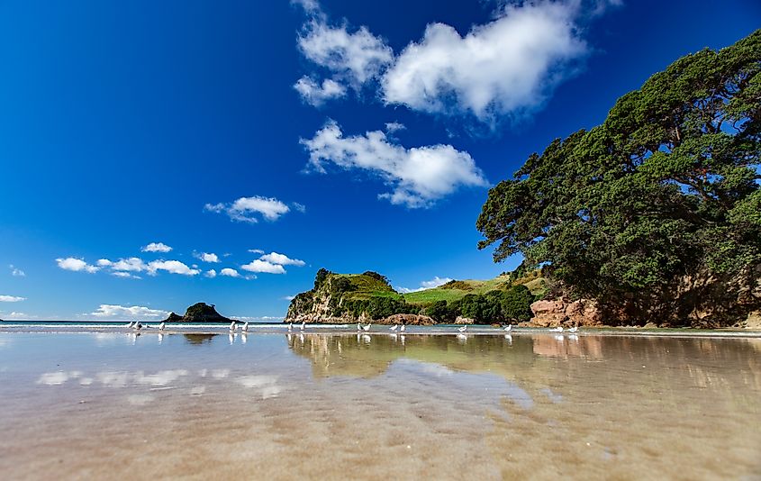 Hahei, New Zealand