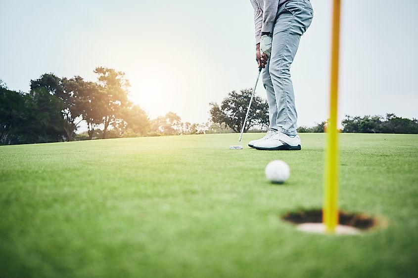 A golfer putting toward the hole.