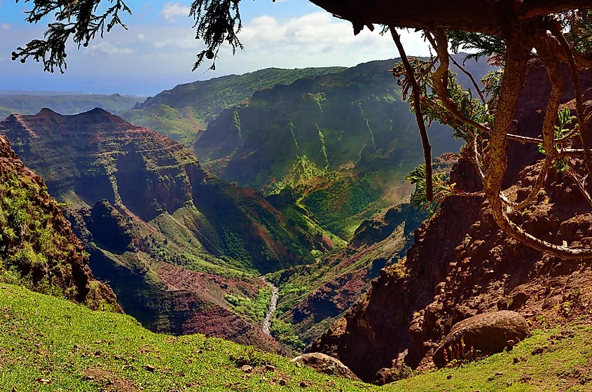 Waimea Canyon lookout and picnic area in Kauai, Hawaii.