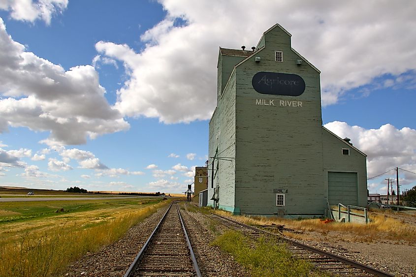 Grain elevators in the town of Milk River, Alberta. By Matthias Sen - Own work, CC BY-SA 3.0, Wikimedia Commons.