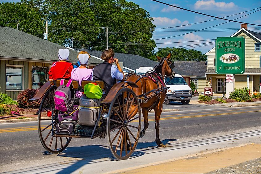 Intercourse, Pennsylvania: An Amish buggy in summer on the main village street in Lancaster County