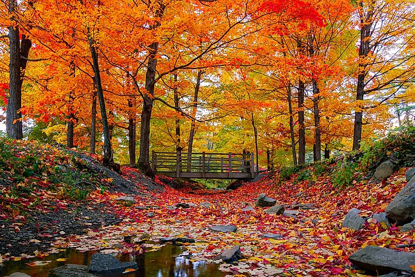 Fall enhances the beauty of Connecticut's parks manifold.