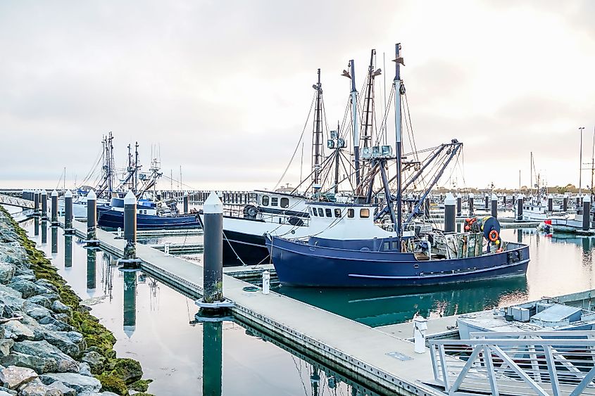 A harbor in Crescent City, California.