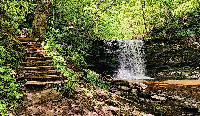 Waterfall in Ricketts Glen state park during the early summer.