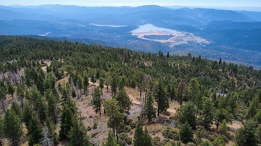 Mendocino National Forest.