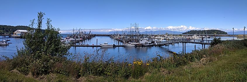 Neah Bay, Washington. In Wikipedia. https://en.wikipedia.org/wiki/Neah_Bay,_Washington By Dicklyon - Own work, CC BY-SA 4.0, https://commons.wikimedia.org/w/index.php?curid=70851944