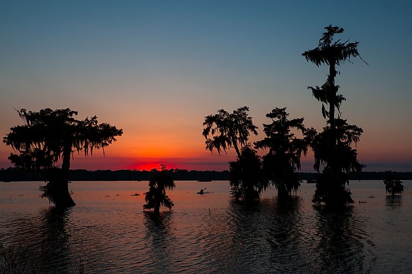 Kayaker Coming in at Sunset - Lake Martin in Breaux Bridge, Louisiana.