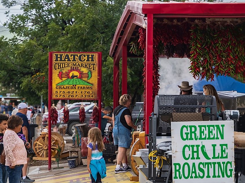 The Hatch Chile Market selling fresh and roasted chiles during the annual Hatch Chile Festival.