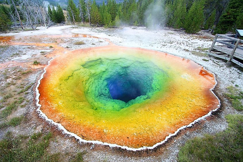 The colorful pool of the Morning Glory Geyser in Yellowstone National Park.