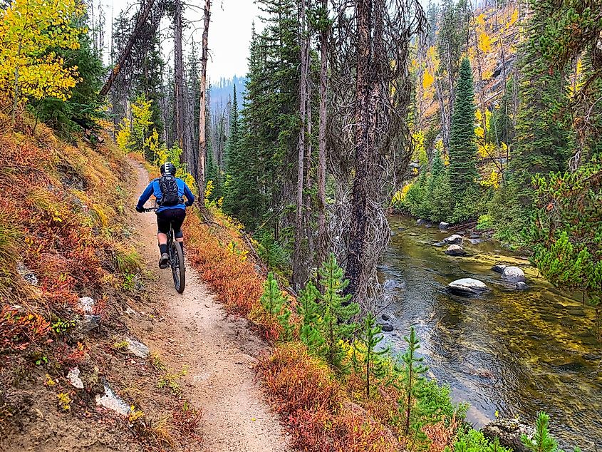 Man mountain biking on the trail to Loon Lake in McCall, Idaho.